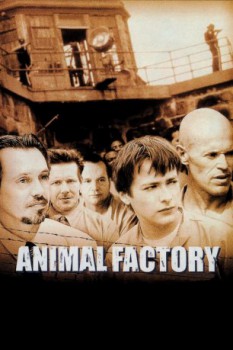 poster Animal Factory  (2000)