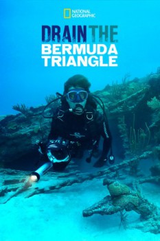 poster Drain the Bermuda Triangle  (2014)