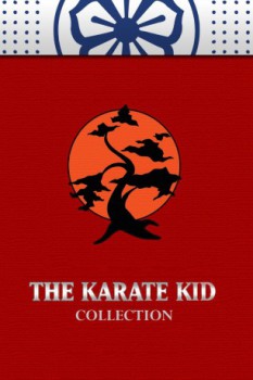 poster The Karate Kid Collection